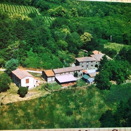 Bottega Di Montegiovi 호텔 Scopeti 외부 사진