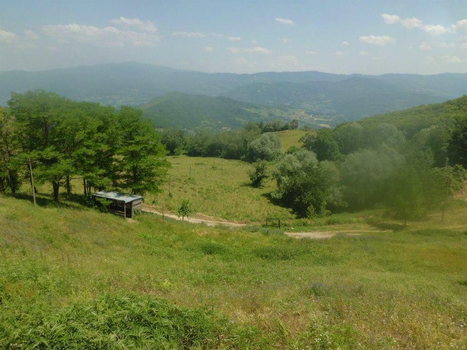 Bottega Di Montegiovi 호텔 Scopeti 외부 사진