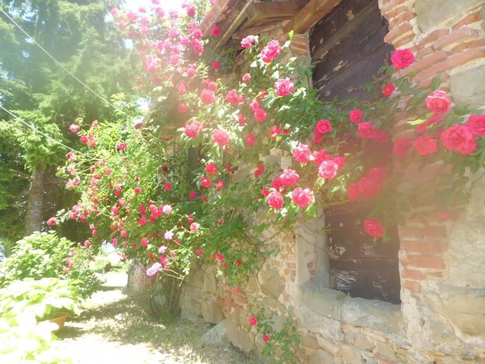 Bottega Di Montegiovi 호텔 Scopeti 외부 사진