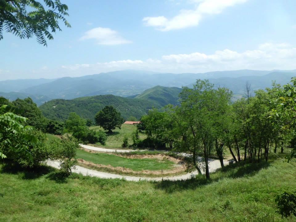 Bottega Di Montegiovi 호텔 Scopeti 외부 사진